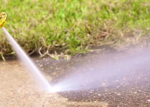 Driveway Cleaning in Sydney