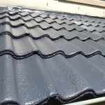 Roof Painting