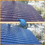 roof-Restoration-sydney-painting-cleaning-north-shore