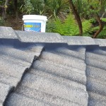 Roof Repointing Sydney after