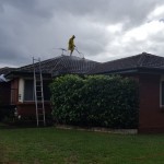 Roof cleaning and Restoration Sydney After